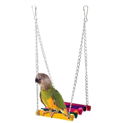 CABLEPELADO Vogelschaukel aus Holz, Vogelschaukel aus Holz, Vogelschaukel, Hängespielzeug für Vögel, Spielzubehör für Vogelkäfige, Holzschaukel für Vögel, Wellensittich CABLEPELADO Vogelschaukel aus Holz, Vogelschaukel aus Holz, Vogelschaukel, Hängespielzeug für Vögel, Spielzubehör für Vogelkäfige, Holzschaukel für Vögel, Wellensittich von CABLEPELADO