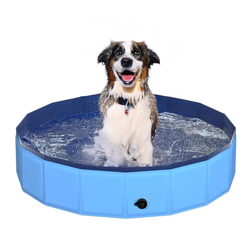 CACSPS 100x30 cm Faltbarer Hundepool – zusammenklappbarer Kinderpool aus Hartplastik für Hunde und Kinder, rutschfeste Haustierbadewanne für den Außeneinsatz im Garten, leicht und tragbar (Blau) von CACSPS