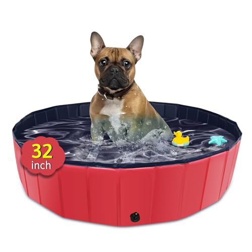 CACSPS Faltbarer Hundepool, 81,3 x 20,3 cm, Übergröße, Hartplastik, tragbarer Schwimmbad für Hunde, Katzen und Kinder, Welpen, Badewanne, zusammenklappbar, Kinderpool (rot) von CACSPS