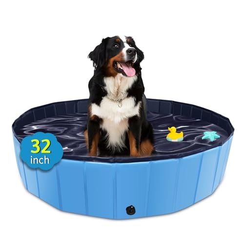 CACSPS Faltbarer Hundepool, 82 x 20,3 cm, Übergröße, Hartplastik, tragbarer Schwimmbad für Hunde, Katzen und Kinder, Haustier, Welpen-Badewanne, zusammenklappbar, Kinderpool (blau) von CACSPS