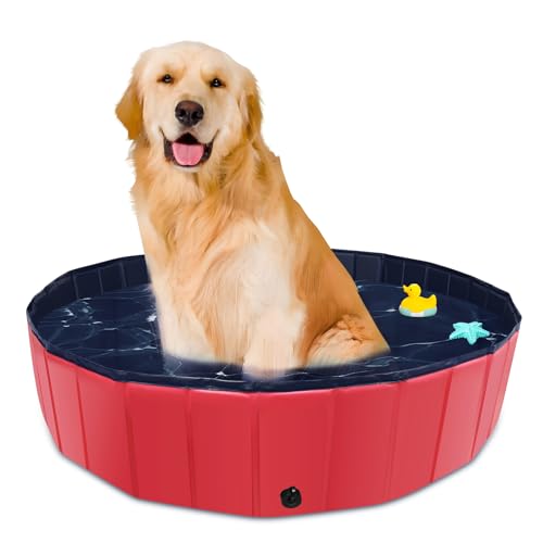 CACSPS Faltbarer Hundepool, 99,1 x 30,5 cm, Übergröße, Hartplastik, tragbar, Schwimmbad für Hunde, Katzen und Kinder, Haustier, Welpen-Badewanne, zusammenklappbar, Kinderpool (rot) von CACSPS
