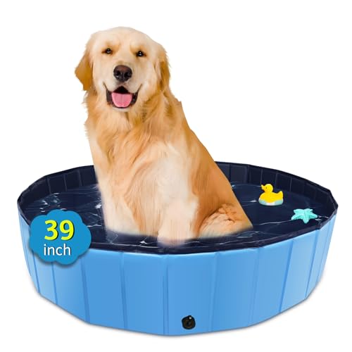 CACSPS Faltbarer Hundepool, 99,1 x 30,5 cm, Übergröße, Hartplastik, tragbarer Schwimmbad für Hunde, Katzen und Kinder, Haustier, Welpen-Badewanne, zusammenklappbar, Kinderpool (blau) von CACSPS