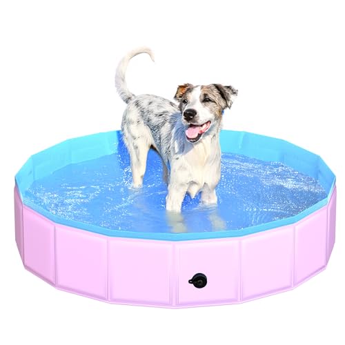 CACSPS Faltbarer Hundepool, 100 x 30 cm Kinderpool aus Hartplastik, rutschfeste Hundebadewanne für den Außenbereich, zusammenklappbarer Hundeschwimmpool für Kinder, Hunde und Haustiere (Rosa) CACSPS Faltbarer Hundepool, 100 x 30 cm Kinderpool aus Hartplastik, rutschfeste Hundebadewanne für den Außenbereich, zusammenklappbarer Hundeschwimmpool für Kinder, Hunde und Haustiere (Rosa) von CACSPS