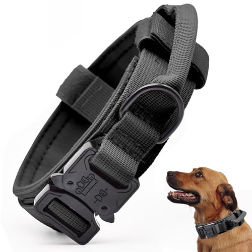 Taktisches Hundehalsband, Verstellbares Militär-Training, Nylon-Hundehalsband mit Kontrollgriff und schwerer Schnellverschluss-Metallschnalle für kleine, mittelgroße und große Hunde, Schwarz XXL Taktisches Hundehalsband, Verstellbares Militär-Training, Nylon-Hundehalsband mit Kontrollgriff und schwerer Schnellverschluss-Metallschnalle für kleine, mittelgroße und große Hunde, Schwarz XXL von CADONO