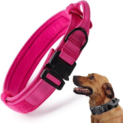 Taktisches Hundehalsband, verstellbar, Militär-Training, Nylon, mit Kontrollgriff und schwerer Schnellverschluss-Metallschnalle für kleine, mittelgroße und große Hunde, Rosa, Größe M Taktisches Hundehalsband, verstellbar, Militär-Training, Nylon, mit Kontrollgriff und schwerer Schnellverschluss-Metallschnalle für kleine, mittelgroße und große Hunde, Rosa, Größe M von CADONO