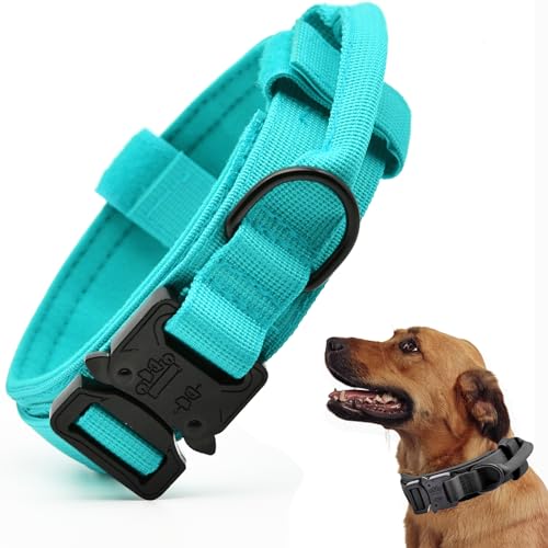 Taktisches Hundehalsband, verstellbares Militär-Training, Nylon-Hundehalsband mit Kontrollgriff und schwerer Schnellverschluss-Metallschnalle für kleine, mittelgroße und große Hunde, Blau XL Taktisches Hundehalsband, verstellbares Militär-Training, Nylon-Hundehalsband mit Kontrollgriff und schwerer Schnellverschluss-Metallschnalle für kleine, mittelgroße und große Hunde, Blau XL von CADONO