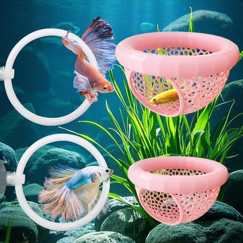 CAIJ Betta Fisch-Übungsring und Filterball-Set, Fischfutter-Futterring und Nitrifizierungsbälle, kleines Aquarium-Kampffotivspielzeug, Betta-Trainingsring, Betta-Trainingskreis von CAIJ