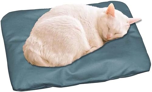 CAIYLAI Dickes Haustier-Schlafbett, wasserdicht, selbstkühlende Matte, Kissen, Haustierhütte, wasserdicht, für Hunde und Katzen, Grün, 75 x 50 cm CAIYLAI Dickes Haustier-Schlafbett, wasserdicht, selbstkühlende Matte, Kissen, Haustierhütte, wasserdicht, für Hunde und Katzen, Grün, 75 x 50 cm von CAIYLAI