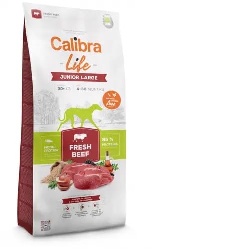 CALIBRA Dog Life Junior Large Rind, 12 kg von CALIBRA