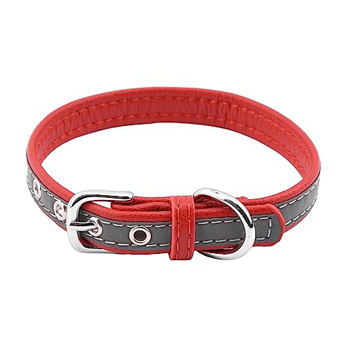 Reflektierendes Hundehalsband, Hundehalsband mit reflektierenden Streifen, verstellbare Schnalle, einfaches Hundehalsband, weich, atmungsaktiv, Haustierhalsband (M-Rot2) von CALIDAKA