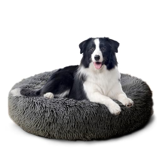 CALIYO Hundebett Mittelgroße Hunde, Katzenbett Flauschig, Katzenkissen Hundekissen Waschbar, Trocknergeeignetes Katzen Bett, Hundebetten Rund Katzenkörbchen Durchmesser 70 cm(Dunkelgrau) CALIYO Hundebett Mittelgroße Hunde, Katzenbett Flauschig, Katzenkissen Hundekissen Waschbar, Trocknergeeignetes Katzen Bett, Hundebetten Rund Katzenkörbchen Durchmesser 70 cm(Dunkelgrau) von CALIYO