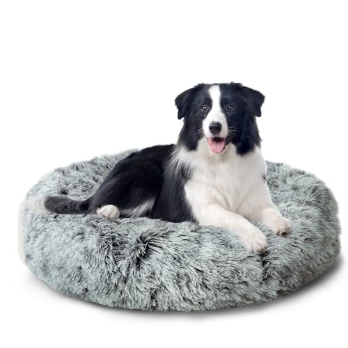 CALIYO Hundebett Mittelgroße Hunde, Katzenbett Flauschig, Katzenkissen Hundekissen Waschbar, Trocknergeeignetes Katzen Bett, Hundebetten Rund Katzenkörbchen Durchmesser 70 cm(Hellgrau) CALIYO Hundebett Mittelgroße Hunde, Katzenbett Flauschig, Katzenkissen Hundekissen Waschbar, Trocknergeeignetes Katzen Bett, Hundebetten Rund Katzenkörbchen Durchmesser 70 cm(Hellgrau) von CALIYO