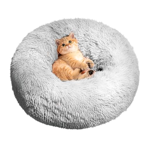 CALIYO Katzenbett Flauschig, Hundebett Kleine Hunde, Katzenkissen Hundekissen Waschbar, Trocknergeeignetes Katzen Bett, Hundebetten Rund Katzenkörbchen Durchmesser 50 cm(Hellgrau) CALIYO Katzenbett Flauschig, Hundebett Kleine Hunde, Katzenkissen Hundekissen Waschbar, Trocknergeeignetes Katzen Bett, Hundebetten Rund Katzenkörbchen Durchmesser 50 cm(Hellgrau) von CALIYO