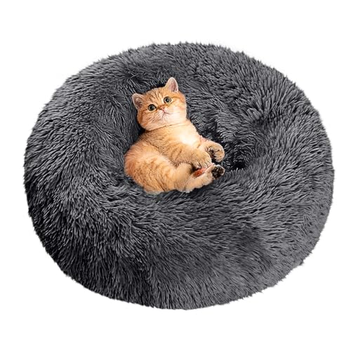 CALIYO Katzenbett Flauschig, Hundebett Kleine Hunde, Katzenkissen Hundekissen Waschbar, Trocknergeeignetes Katzen Bett, Hundebetten Rund Katzenkörbchen Durchmesser 60 cm(Dunkelgrau) CALIYO Katzenbett Flauschig, Hundebett Kleine Hunde, Katzenkissen Hundekissen Waschbar, Trocknergeeignetes Katzen Bett, Hundebetten Rund Katzenkörbchen Durchmesser 60 cm(Dunkelgrau) von CALIYO