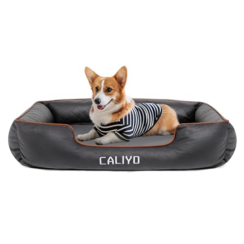 CALIYO Orthopädisches Hundebett Kleine Hunde – Hundekissen aus Kunstleder, Wasserdicht & Waschbar, Memory Foam Hundesofa mit 4 Rändern, Hundematte 85×63×20 cm, Schwarz von CALIYO