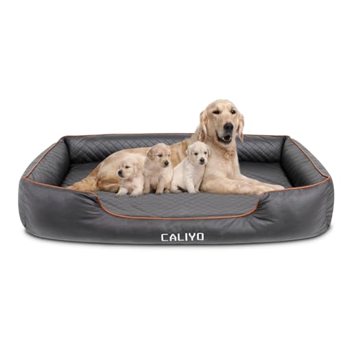 CALIYO Orthopädisches Hundebett Grosse Hunde – Hundekissen aus Kunstleder, Wasserdicht & Waschbar, Memory Foam Hundesofa mit 4 Rändern, Hundematte 127×97×18CM, Schwarz von CALIYO