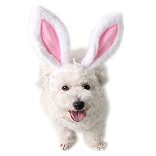 CALLARON Kostüm Hasenohren Stirnband für Haustiere S Elastisches Hund und Katzen Haarreif für Halloween Party Weiches Accessoire für Kleine Hunde und Katzen Niedliches Cosplay Zubehör CALLARON Kostüm Hasenohren Stirnband für Haustiere S Elastisches Hund und Katzen Haarreif für Halloween Party Weiches Accessoire für Kleine Hunde und Katzen Niedliches Cosplay Zubehör von CALLARON