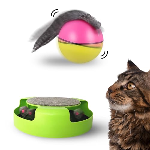 CALNESI Katzenspielzeug-Set, interaktives Katzenspielzeug fängt Maus und beweglicher Ball, der sich alleine mit Frettchenschwanz bewegt, Katzenspielzeug für garantierten Spaß und körperliche CALNESI Katzenspielzeug-Set, interaktives Katzenspielzeug fängt Maus und beweglicher Ball, der sich alleine mit Frettchenschwanz bewegt, Katzenspielzeug für garantierten Spaß und körperliche von CALNESI