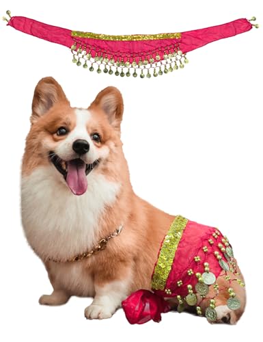 Bauchtänzer-Kostüm für Hunde, Welpen-Outfit mit Pailletten-Taillenkette und Hüftschüttelrock, ideal für Corgi- und Welpengeburtstagsfeiern oder Halloween-Feiern (klein, rosarot) von CAMATET