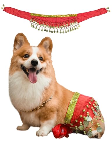 Bauchtänzer-Kostüm für Hunde, Welpen-Outfit mit Pailletten-Taillenkette und Hüftschüttelrock, ideal für Corgi- und Welpengeburtstagsfeiern oder Halloween-Feiern (klein, rot) von CAMATET