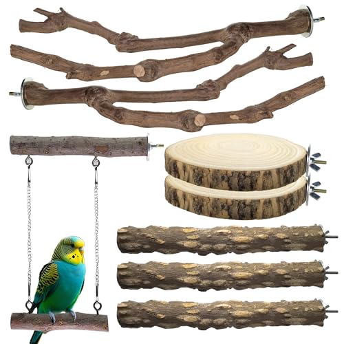 CAMATET Vogelsitzstangen für Käfig, Naturholz, Vogelstange für Sittiche/Nymphensittich, 24,1 cm, mittelgroßer Vogelkäfigstab, Vogelzweige für Käfige, Vogelkäfigzubehör für Papageien, 8 Stück CAMATET Vogelsitzstangen für Käfig, Naturholz, Vogelstange für Sittiche/Nymphensittich, 24,1 cm, mittelgroßer Vogelkäfigstab, Vogelzweige für Käfige, Vogelkäfigzubehör für Papageien, 8 Stück von CAMATET