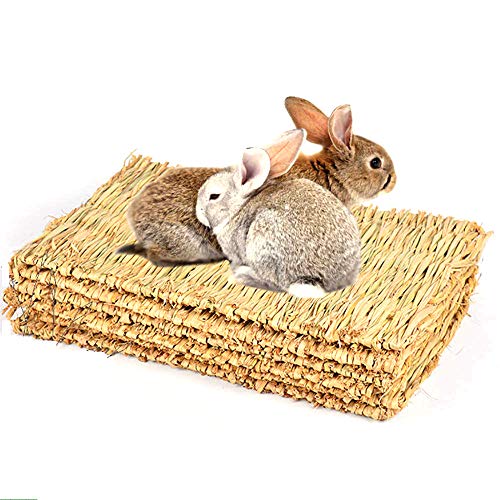 CAMITER 5 Stück Kleintier Grasmatten,Tier-Kauspielzeug, Kaninchen-Bett, Natürliche Handgewebte Grasmatte Sicher und Essbares für Hamster, Kaninchen, Papageien Meerschweinchen und Frettchen CAMITER 5 Stück Kleintier Grasmatten,Tier-Kauspielzeug, Kaninchen-Bett, Natürliche Handgewebte Grasmatte Sicher und Essbares für Hamster, Kaninchen, Papageien Meerschweinchen und Frettchen von CAMITER