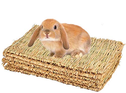 CAMITER Kleintier Grasmatten,Tier-Kauspielzeug, Kaninchen-Bett, Natürliche Handgewebte Grasmatte Sicher und Essbares für Hamster, Kaninchen, Papageien Meerschweinchen und Frettchen (4 Stück) von CAMITER