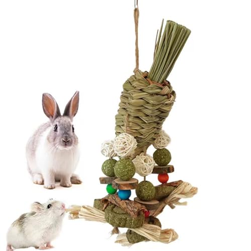 Kauspielzeug für kleine Haustiere , Kaninchenkäfig Hängespielzeug mit Grasball Karottenspielzeug für Kaninchen, Chinchilla, Meerschweinchen, Hamster, Zähneknirschen von CAMITER