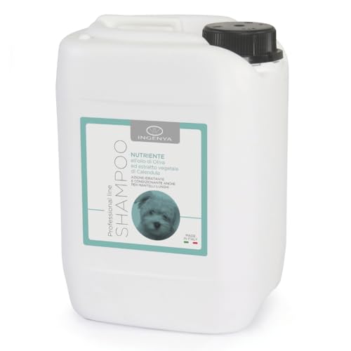 CAMON | Pflegendes Shampoo für Hunde, 5 l mit Olivenöl und Ringelblume, regenerierend und feuchtigkeitsspendend, geeignet für Lange Haare CAMON | Pflegendes Shampoo für Hunde, 5 l mit Olivenöl und Ringelblume, regenerierend und feuchtigkeitsspendend, geeignet für Lange Haare von CAMON