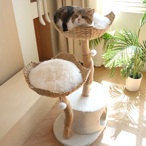 CAMTTIR Kratzbaum aus natürlichem Holz, modernes Katzenhaus mit baumelndem Ball, gemütlichen Körben, Kratzbäumen für große Indoor-Katzen, ästhetisches Haustiermöbel aus Massivholz (109,2 cm hoch) CAMTTIR Kratzbaum aus natürlichem Holz, modernes Katzenhaus mit baumelndem Ball, gemütlichen Körben, Kratzbäumen für große Indoor-Katzen, ästhetisches Haustiermöbel aus Massivholz (109,2 cm hoch) von CAMTTIR