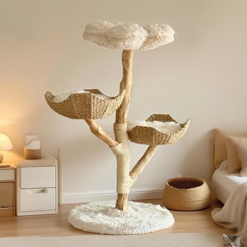 CAMTTIR Kratzbaum aus natürlichem Holz, modernes Katzenhaus mit baumelndem Ball, gemütlichen Körben, Kratzbäumen für große Indoor-Katzen, ästhetisches Haustiermöbel aus Massivholz (114,3 cm hoch) CAMTTIR Kratzbaum aus natürlichem Holz, modernes Katzenhaus mit baumelndem Ball, gemütlichen Körben, Kratzbäumen für große Indoor-Katzen, ästhetisches Haustiermöbel aus Massivholz (114,3 cm hoch) von CAMTTIR