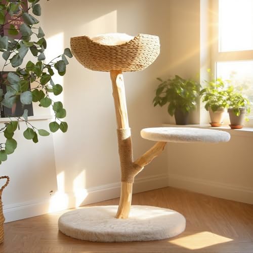 CAMTTIR Kratzbaum aus natürlichem Holz, modernes Katzenhaus mit baumelndem Ball, gemütlichen Körben, Kratzbäumen für große Indoor-Katzen, ästhetisches Haustiermöbel aus Massivholz (88,9 cm hoch) von CAMTTIR