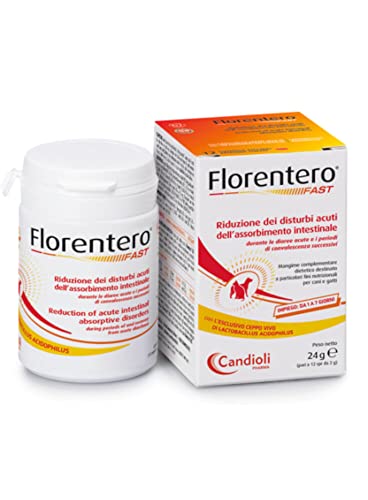 FLORENTERO CANDIOLI Fast 12 Tabletten FLORENTERO CANDIOLI Fast 12 Tabletten von FLORENTERO