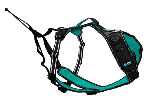 CANI C GEAR, Geschirr, Modell SYMBIOZ, Farbe Schwarz/Türkis, Anti-Irritations-Neoprenfutter, Sportlicher Einsatz mit abnehmbaren Trägern, S CANI C GEAR, Geschirr, Modell SYMBIOZ, Farbe Schwarz/Türkis, Anti-Irritations-Neoprenfutter, Sportlicher Einsatz mit abnehmbaren Trägern, S von CANI C GEAR