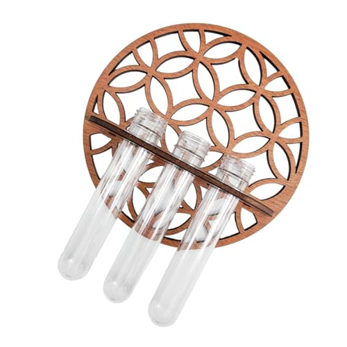 CANIGHT Luftpflanzen-terrarien Holzständer Kunststoff-pflanzgefäß Für Die Inneneinrichtung Büro Blumenpflanzenhalter Eleganz-vase CANIGHT Luftpflanzen-terrarien Holzständer Kunststoff-pflanzgefäß Für Die Inneneinrichtung Büro Blumenpflanzenhalter Eleganz-vase von CANIGHT