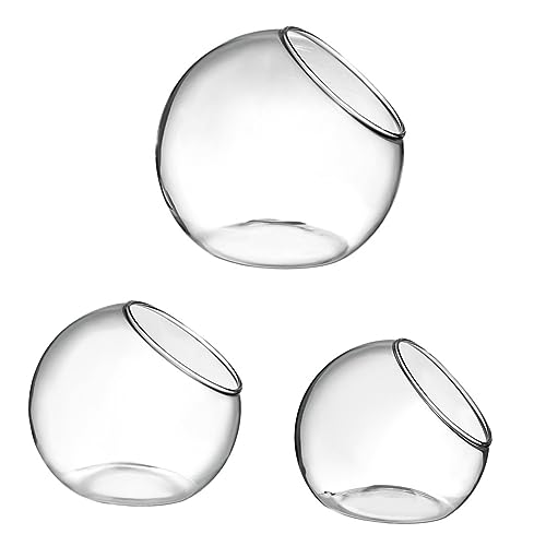 CANIGHT 3er-Pack Hydrokulturtopf aus Glas Terrarium Miniaturpflanze für Sukkulenten Luftpflanze Glatte Oberfläche leicht zu reinigen CANIGHT 3er-Pack Hydrokulturtopf aus Glas Terrarium Miniaturpflanze für Sukkulenten Luftpflanze Glatte Oberfläche leicht zu reinigen von CANIGHT