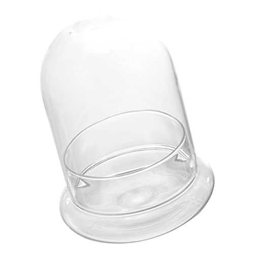 CANIGHT Glaskuppel Für Pflanzen Vertikales Terrarium Dekorativer Mikro-landschaftsbehälter Moosglasflasche Ökologische Glasflasche von CANIGHT