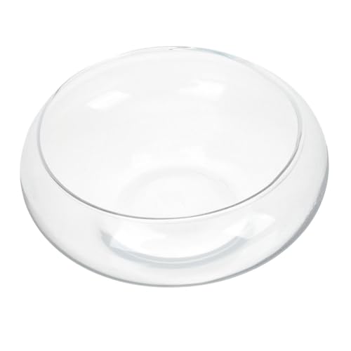 CANIGHT Glasfarbe Glasblumentopf Für Sukkulenten Kleiner Pflanztopf Aus Transparenter Blumentopf Ideal Für Wasserpflanzen Fischbehälter Dekoration Für Blumen Und Pflanzen von CANIGHT