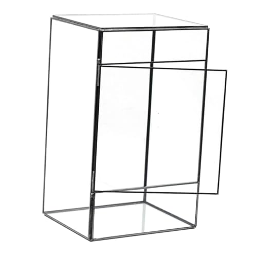 CANIGHT Glaspflanzgefäß Landschaftsdisplayhalter Terrarium -Mikrolandschaftspflanzkasten für den Landschaftsbehälter im Homeoffice CANIGHT Glaspflanzgefäß Landschaftsdisplayhalter Terrarium -Mikrolandschaftspflanzkasten für den Landschaftsbehälter im Homeoffice von CANIGHT