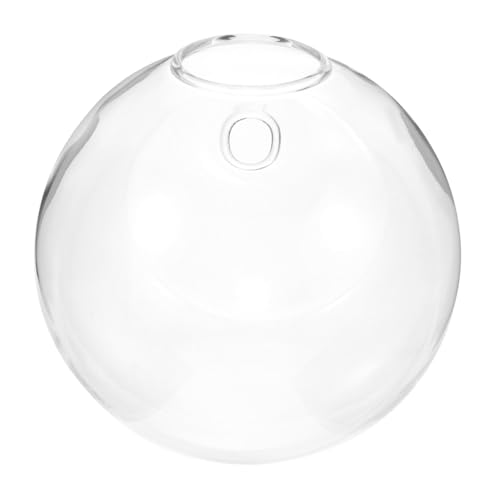 CANIGHT Vasen Deko Modern Wandhängende Glasvase Einzigartiger Form Kreative Hydroponik Vase Für Moderne Raumdekoration Inklusive Unsichtbaren Nägeln Ideal Für Blumen Und Pflanzen Europäischer CANIGHT Vasen Deko Modern Wandhängende Glasvase Einzigartiger Form Kreative Hydroponik Vase Für Moderne Raumdekoration Inklusive Unsichtbaren Nägeln Ideal Für Blumen Und Pflanzen Europäischer von CANIGHT