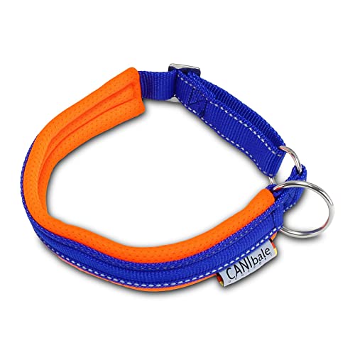 CANIbale dogsport BIGring Halsband |CB6675| großer Ring, verstellbar, Größe:L (40-46) von CANIbale dogsport
