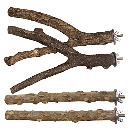 CANNXI Vogelspielzeug, Vogelsitzstange, Schleifleiter, Nest, Kuscheln zum Schlafen für Spielkäfig für Sittiche zum Spielen CANNXI Vogelspielzeug, Vogelsitzstange, Schleifleiter, Nest, Kuscheln zum Schlafen für Spielkäfig für Sittiche zum Spielen von CANNXI
