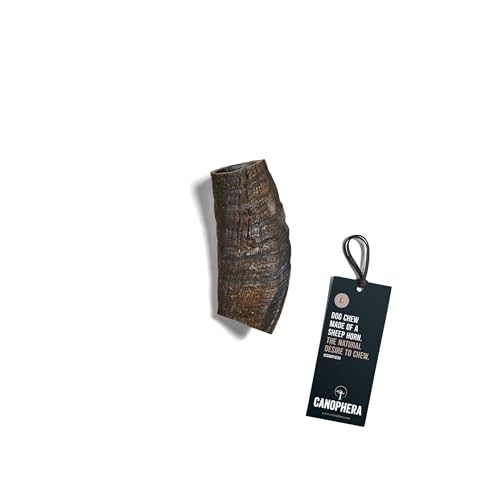 Canophera Hundekauhorn vom Schaf | Schafhorn in verschiedenen Größen | Kauspielzeug von freilebenden Schafen | 100% natürlich (L) Canophera Hundekauhorn vom Schaf | Schafhorn in verschiedenen Größen | Kauspielzeug von freilebenden Schafen | 100% natürlich (L) von Canophera