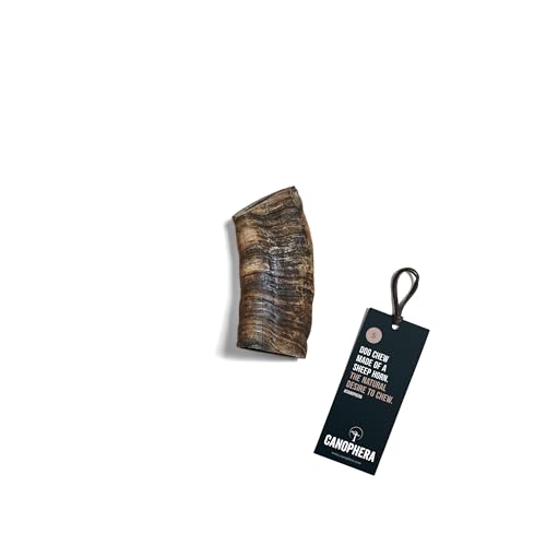 Canophera Hundekauhorn vom Schaf | Schafhorn in verschiedenen Größen | Kauspielzeug von freilebenden Schafen | 100% natürlich (S) Canophera Hundekauhorn vom Schaf | Schafhorn in verschiedenen Größen | Kauspielzeug von freilebenden Schafen | 100% natürlich (S) von Canophera