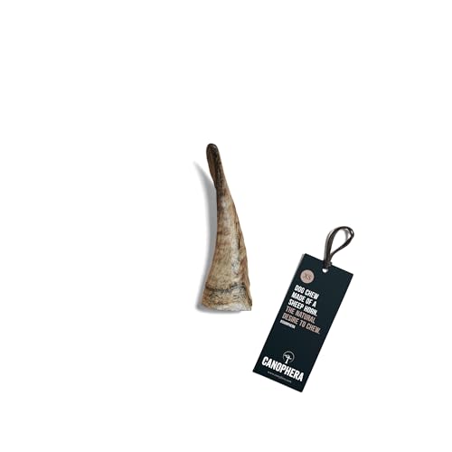 Canophera Hundekauhorn vom Schaf | Schafhorn in verschiedenen Größen | Kauspielzeug von freilebenden Schafen | 100% natürlich (XS) von Canophera