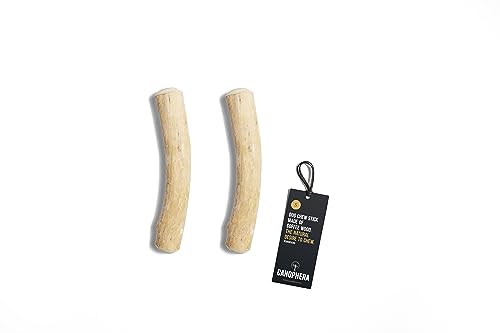 Canophera Hundekaustab aus Kaffeebaumholz, klein, 2 Stück (S (18cm)) Canophera Hundekaustab aus Kaffeebaumholz, klein, 2 Stück (S (18cm)) von Canophera