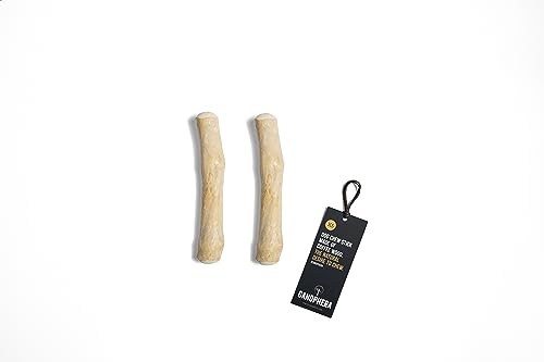 Canophera Hundekaustab aus Kaffeebaumholz, klein, 2 Stück (XS (16cm)) von Canophera