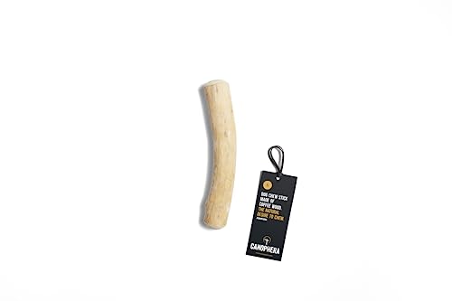 Canophera Original Kaffeeholz Hundekaustab | Natürliches und splitterarmes Hundespielzeug zur Zahnpflege | Nachhaltig, Pflanzlich & Koffeinfrei | Kauholz für Hunde in verschiedenen Größen (S) von Canophera