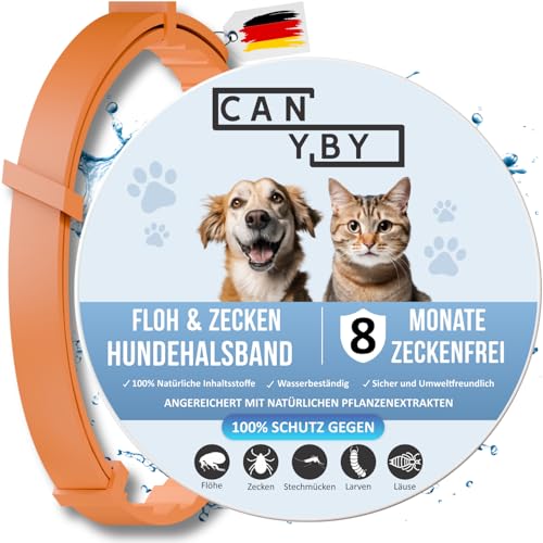 CANYBY Zeckenhalsband für Hunde und Katzen – 8 Monate Natürlicher Schutz vor Zecken & Flöhen – Verstellbar, Wasserdicht & Chemiefrei (Orange, 62cm) von CANYBY