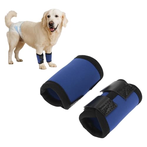 CAPASTEC 1 Paar Hund Vorderbein Gelenkstütze Hock Wrap Hülse, Hund Vorderbein Schiene Knie Schutz Tier Operation Schaden Bandage Wrap Blau Klein 4.7 Zoll x 2.5 Zoll CAPASTEC 1 Paar Hund Vorderbein Gelenkstütze Hock Wrap Hülse, Hund Vorderbein Schiene Knie Schutz Tier Operation Schaden Bandage Wrap Blau Klein 4.7 Zoll x 2.5 Zoll von CAPASTEC